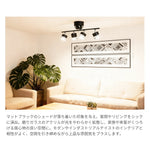 シーリングライト 4灯 昼光色 6500K LED電球 LED内蔵スポットライト 6畳 8畳 ブラック ホワイト