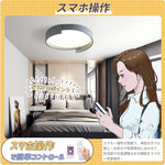 LED シーリングライト ダブルリング 調光調色 リモコン APP対応 北欧 侘寂 モランディグレー おしゃれ 天井照明 40cm 50cm 工事不要