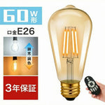 LED電球 ST21 E26 フィラメント電球 調光調色 リモコン付き 60W形相当 6W LED照明 電球色 昼白色 常夜灯 遠隔操作 省エネ 長寿命