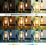 LED電球 ST21 E26 フィラメント電球 調光調色 リモコン付き 60W形相当 6W LED照明 電球色 昼白色 常夜灯 遠隔操作 省エネ 長寿命